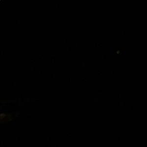 Meet your Posher, Owen